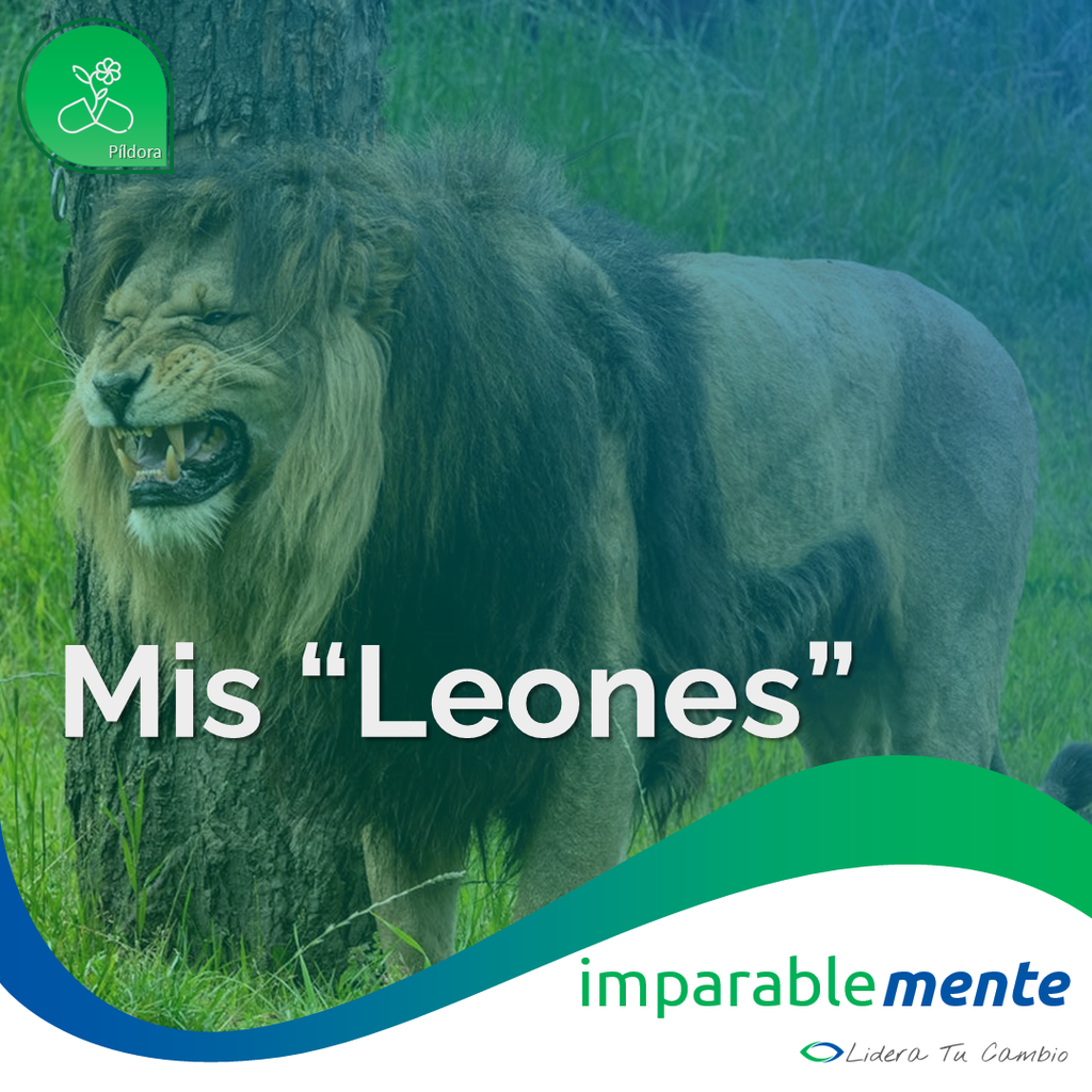 Mis "Leones"