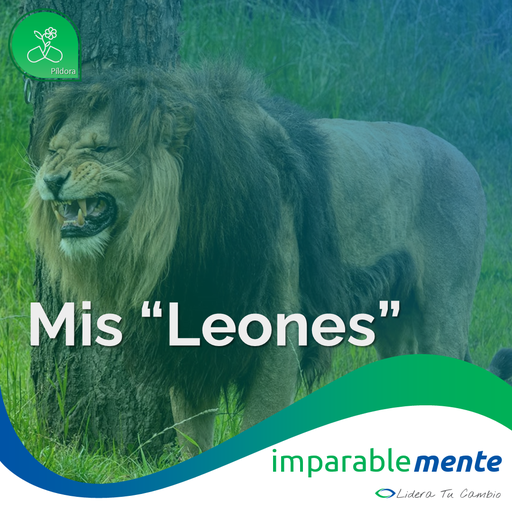 Mis "Leones"